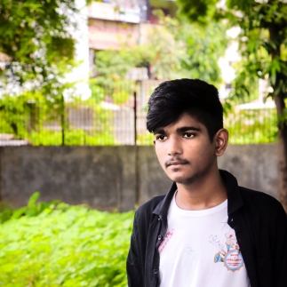 Rajput Abhay-Freelancer in ,India