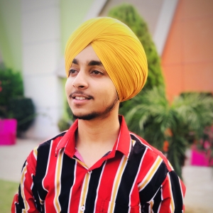 Sukhman Singh-Freelancer in Jalandhar,India