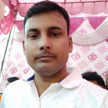 Vivek Dwivedi-Freelancer in ,India