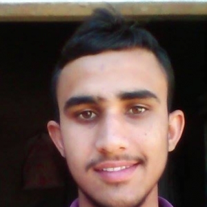 Bahadur Singh Sai-Freelancer in ,India