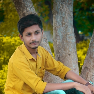 Parmar Mustak-Freelancer in ,India