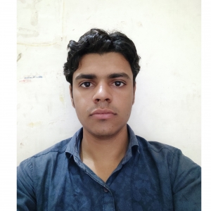 Manraj Gurjar-Freelancer in ,India