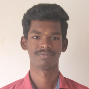 Ramesh J-Freelancer in salem,India