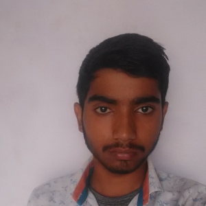 Tushar Chaudhary-Freelancer in Bulandshahr,India