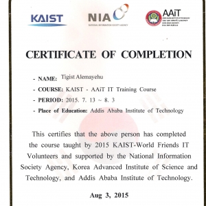 Tigist Alemayehu-Freelancer in Addis Ababa,Ethiopia