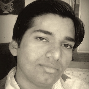 Nilleshkumar Patel-Freelancer in ,India