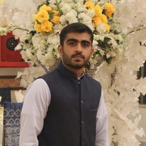 Ali Hamza-Freelancer in Karachi,Pakistan