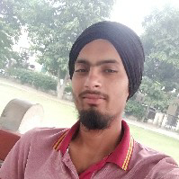 Nirbhay Singh-Freelancer in Karnal,India