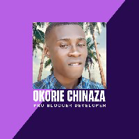 Okorie Chinaza-Freelancer in Lagos,Nigeria