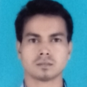 Mohd Salim-Freelancer in Lucknow,India