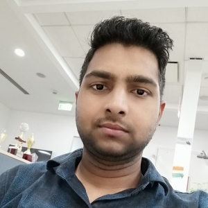 Naveen Rajput-Freelancer in Noida,India