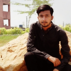 Mirza Ibrar-Freelancer in Gujrat,Pakistan
