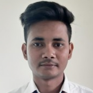 Swayambhu Ghosh-Freelancer in Durgapur,India