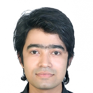 Naved Peerzada-Freelancer in Kalyan,India