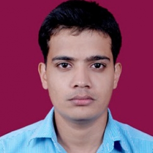 Vivek Shirkhedkar-Freelancer in Pune,India
