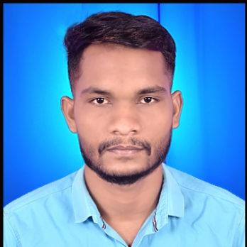 Dinesh Mahilange-Freelancer in Bilaspur,India