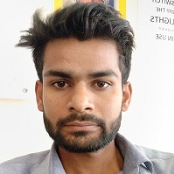 Raju Kumar-Freelancer in patiala,India