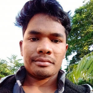 Krishna Naik-Freelancer in Cuttack,India