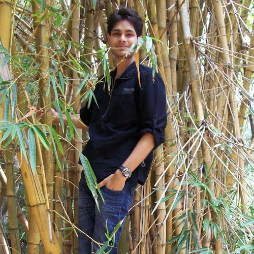 Rajat Jain-Freelancer in Bengaluru,India