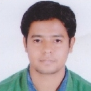 Suresh Kumar-Freelancer in KODERMA,India