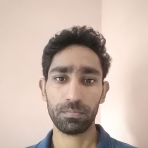 Vishnu Kumar Meena-Freelancer in jaipur,India
