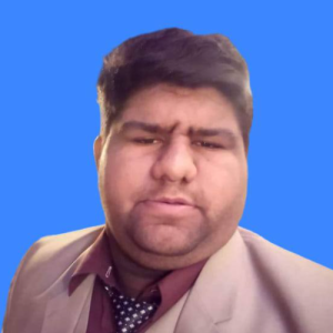 Muhammad Waleed Ansari-Freelancer in Multan,Pakistan