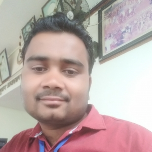 Shobhnath Rajwade-Freelancer in ,India