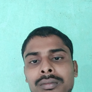 Prasenjit Hazra-Freelancer in ,India
