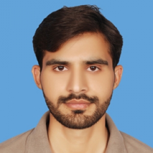 Sayyad Ali Raza Bukhari-Freelancer in Lahore,Pakistan