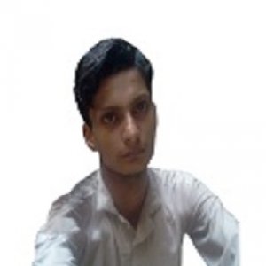 Hammad Ali-Freelancer in Sargodha,Pakistan