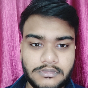 Udit Rajpal-Freelancer in Lucknow,India