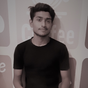 Shubham Kumar-Freelancer in Patna,India