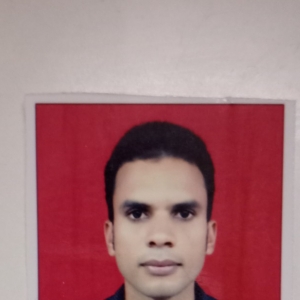 Nilesh Kumar Upadhyay-Freelancer in Pune,India