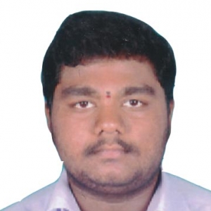 Rajesh N-Freelancer in ,India