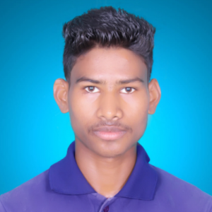Bisu Mardi-Freelancer in ,India