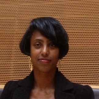 Kumesh Dejene-Freelancer in ,Ethiopia