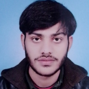 Hassan Zeb-Freelancer in Swabi,Pakistan