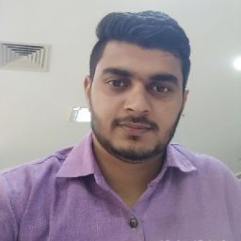 Rahul Chauhan-Freelancer in ,India