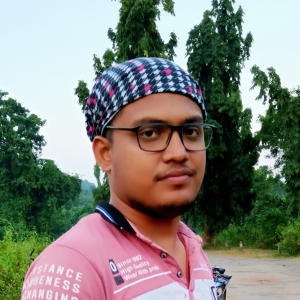 Raj Kumar Sahu-Freelancer in Ganjam,India
