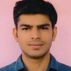 Akhilesh Sukhwal-Freelancer in Bhilwara,India