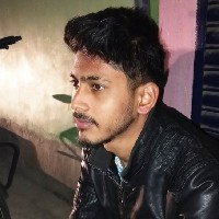 Dilshad Alam-Freelancer in Patna,India
