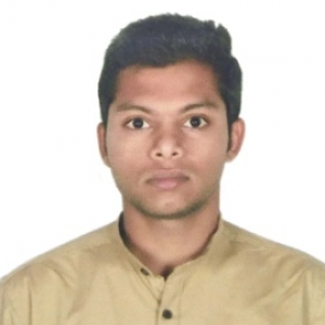 Vinod Sajjan-Freelancer in ,India