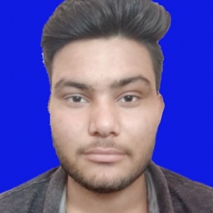 Amar Chaudhary-Freelancer in Aligarh,India