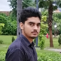 Nageshwer Pandey-Freelancer in Gautam Buddh Nagar,India
