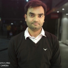 Ashish Patel-Freelancer in ,India
