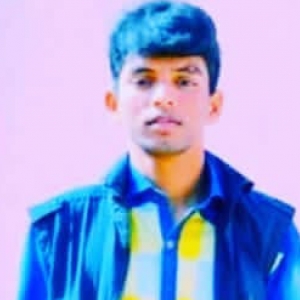 Mir Ali-Freelancer in Kottayam,India