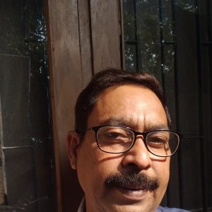 Vivek Saxena-Freelancer in New Delhi,India