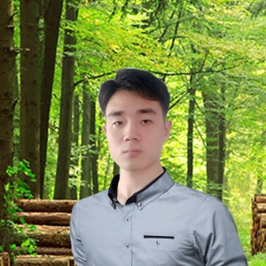 Wang Jin-Freelancer in Hunchun,China