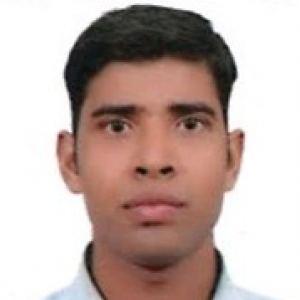 Praveen Yadav-Freelancer in ,India