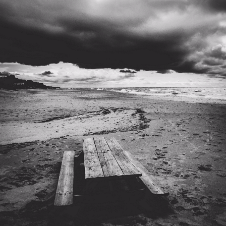 Serena Ward-Freelancer in Benton Harbor, MI,USA